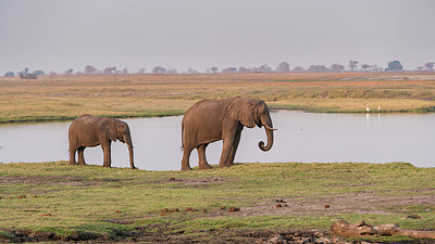 BUITEN BEELD Foto: 225883