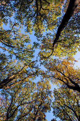 BUITEN BEELD Foto: 225885