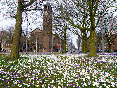 BUITEN BEELD Foto: 226041