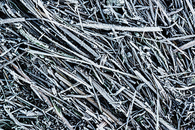 BUITEN BEELD Foto: 226120