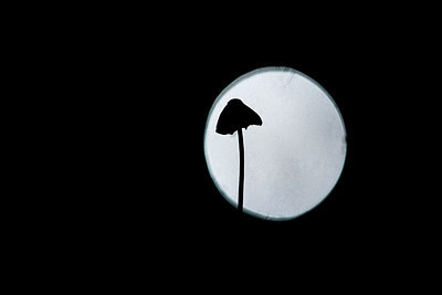 BUITEN BEELD Foto: 226133
