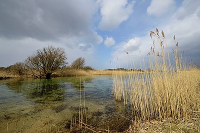 BUITEN BEELD Foto: 226195