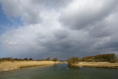 BUITEN BEELD Foto: 226198