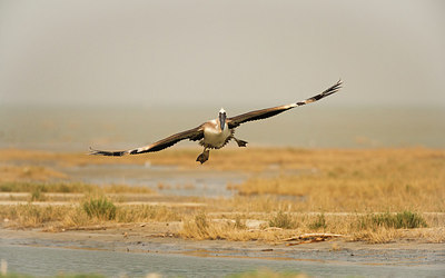 BUITEN BEELD Foto: 226225