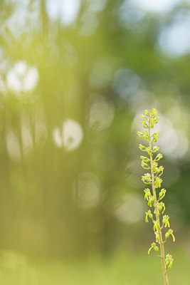 BUITEN BEELD Foto: 226360