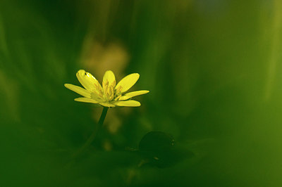 BUITEN BEELD Foto: 226475