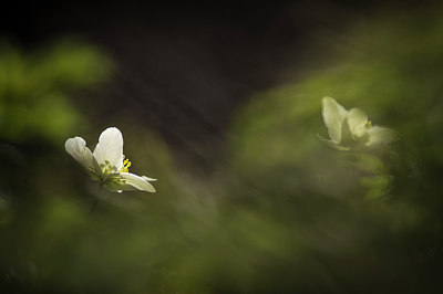 BUITEN BEELD Foto: 226478