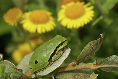 BUITEN BEELD Foto: 226480