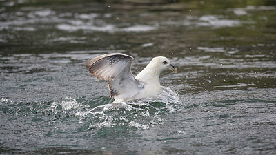 BUITEN BEELD Foto: 226599