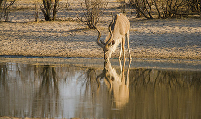 BUITEN BEELD Foto: 226842