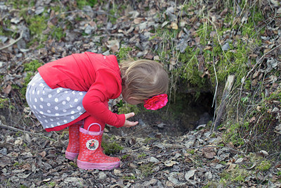 BUITEN BEELD Foto: 226962