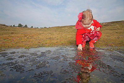 BUITEN BEELD Foto: 226965