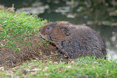 BUITEN BEELD Foto: 227005