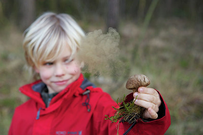 BUITEN BEELD Foto: 227036