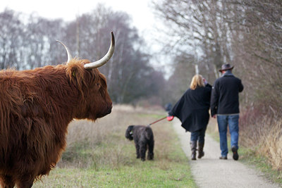BUITEN BEELD Foto: 227042