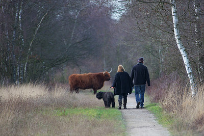 BUITEN BEELD Foto: 227045
