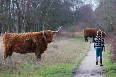 BUITEN BEELD Foto: 227049