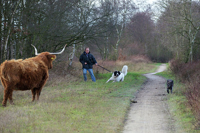 BUITEN BEELD Foto: 227053