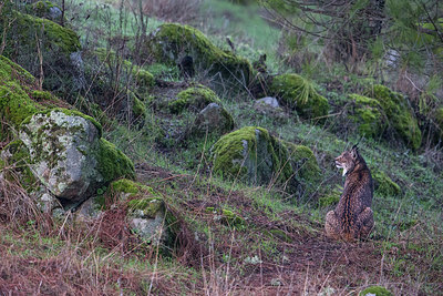 BUITEN BEELD Foto: 227120