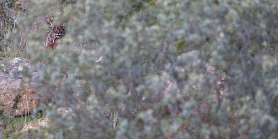 BUITEN BEELD Foto: 227123