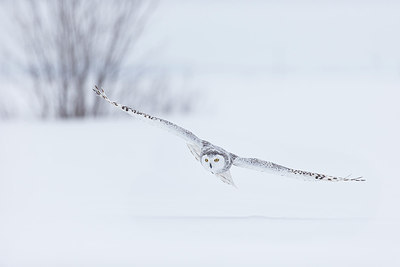 BUITEN BEELD Foto: 227125