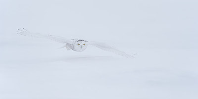 BUITEN BEELD Foto: 227128