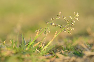 BUITEN BEELD Foto: 227242