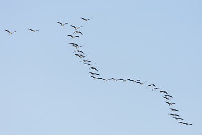 BUITEN BEELD Foto: 227253