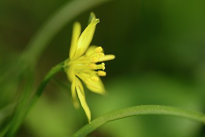 BUITEN BEELD Foto: 227270