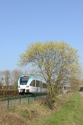 BUITEN BEELD Foto: 227297