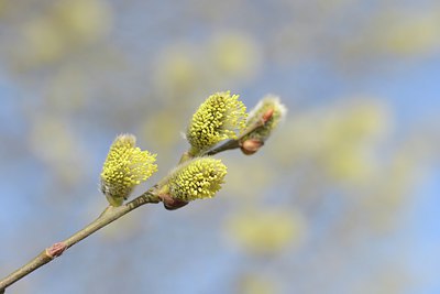 BUITEN BEELD Foto: 227299