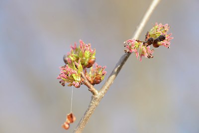 BUITEN BEELD Foto: 227304