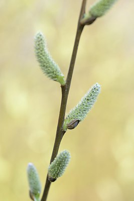 BUITEN BEELD Foto: 227308