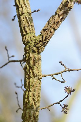 BUITEN BEELD Foto: 227334