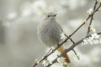 BUITEN BEELD Foto: 227370