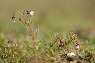 BUITEN BEELD Foto: 227396