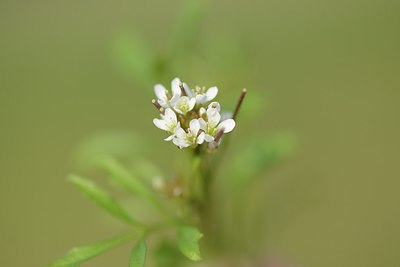 BUITEN BEELD Foto: 227429