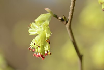 BUITEN BEELD Foto: 227442