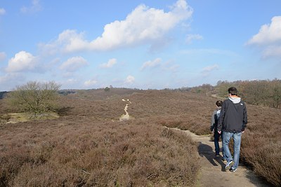 BUITEN BEELD Foto: 227461