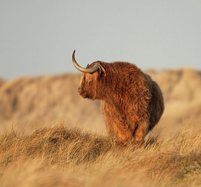BUITEN BEELD Foto: 227491