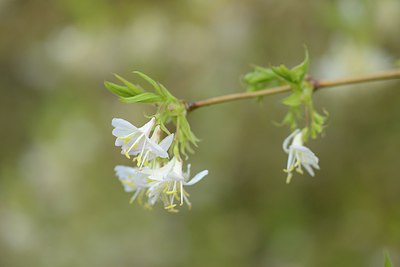 BUITEN BEELD Foto: 227524