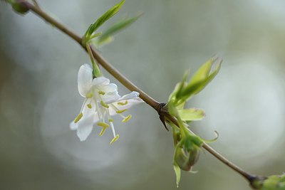 BUITEN BEELD Foto: 227525