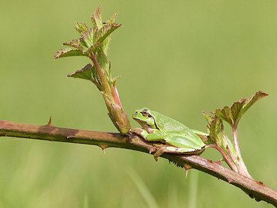 BUITEN BEELD Foto: 227678