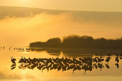 BUITEN BEELD Foto: 227936