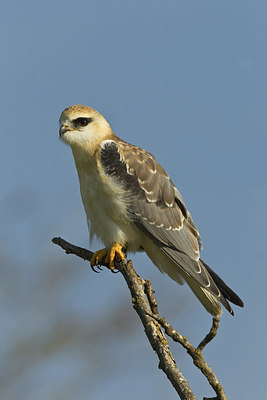 BUITEN BEELD Foto: 227939
