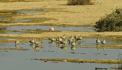 BUITEN BEELD Foto: 227940