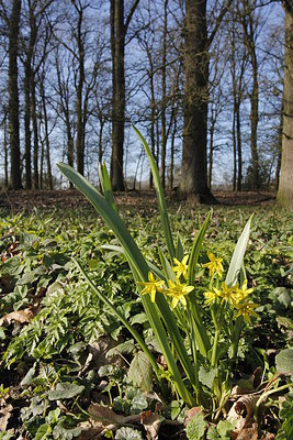 BUITEN BEELD Foto: 228053