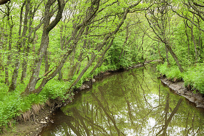 BUITEN BEELD Foto: 228130