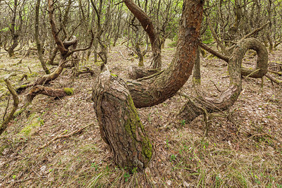 BUITEN BEELD Foto: 228131