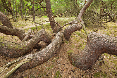 BUITEN BEELD Foto: 228132